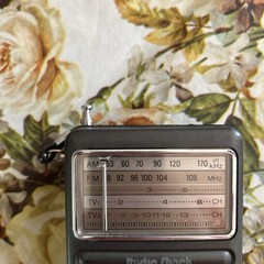 Realistic Radio Shack Model No. ARV12-614 Transistor AM/FM/Radio @306
