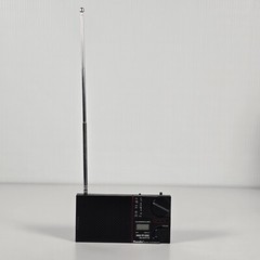 Vintage Randix Portable AM/FM Clock Radio Model No RCL-50