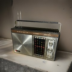 Vintage Craftsman 5 Band Solid State Radio Model 1969-P Leather Body Battery/AC