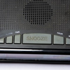 Electro Brand Am/fm Clock Radio Model 4610 In Working Condition
