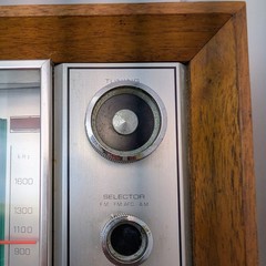 Panasonic RE-7259 FM-AM 2-Band Desktop Tabletop Wood Radio Vintage 1975