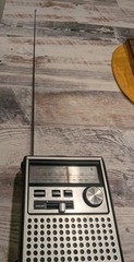 Vintage Lloyds Portable Radio AM/FM AC/DC 289A Series Model N710 With Case Works