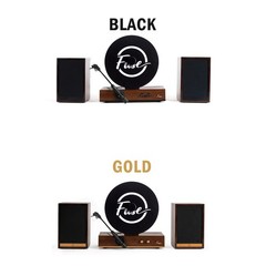 Fuse GLD Vertical Vinyl Record Player with Speakers, Bluetooth, AUX – Black Trim