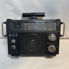 Realistic SW-100 Multiband Radio 12-649 AM FM CB SW AIR WX Tested Working