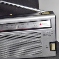 Vintage Sony Portable 2-Band AM-FM Radio Receiver Model TFM-6160W *Tested/Works*